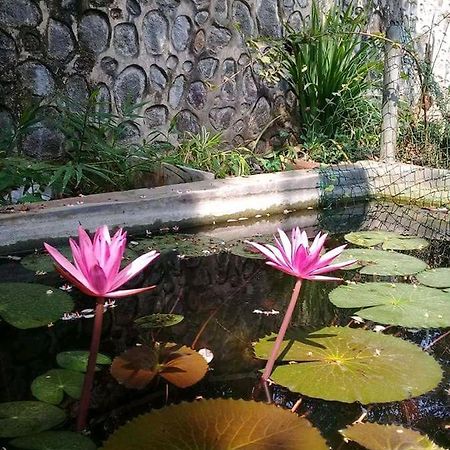 Hotel Paradiso, Unawatuna Zewnętrze zdjęcie